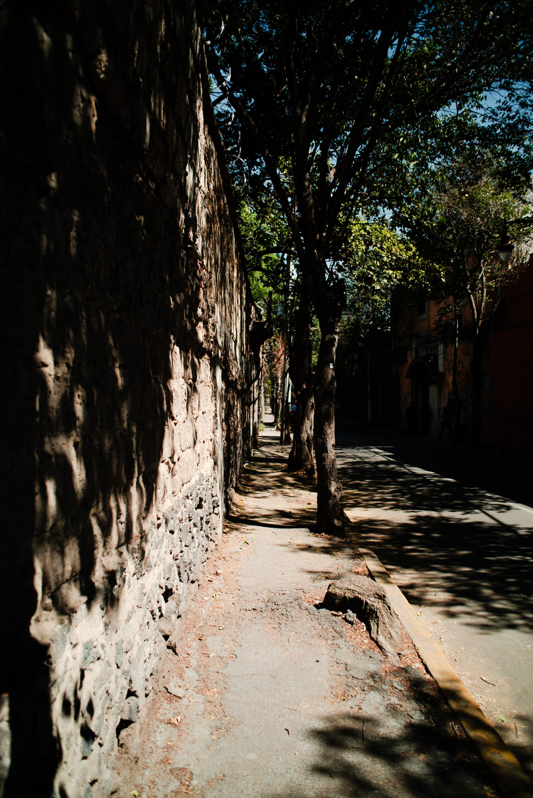 Wojnarowicz en el Centro de Tlalpan.